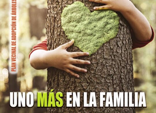 campaña 1+familia web