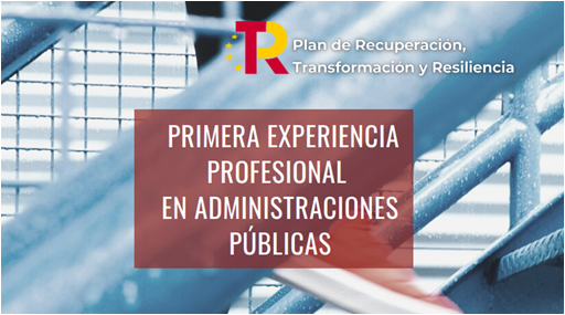 PRIMERA-EXPERIENCIA-PROFESIONAL