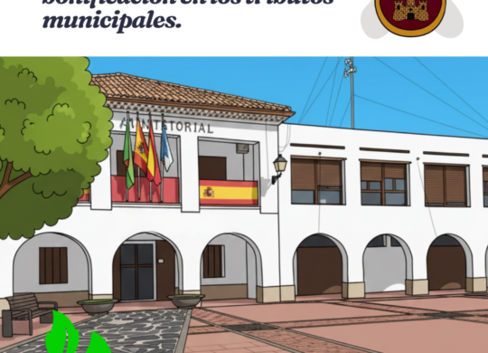 fBgUTCartel-BonificacionesdeIBIeIVTMPostdeInstagram45